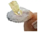 Vorschaubild 3 von Hund Stofftier Kuscheltier Beige Klassisch 31cm