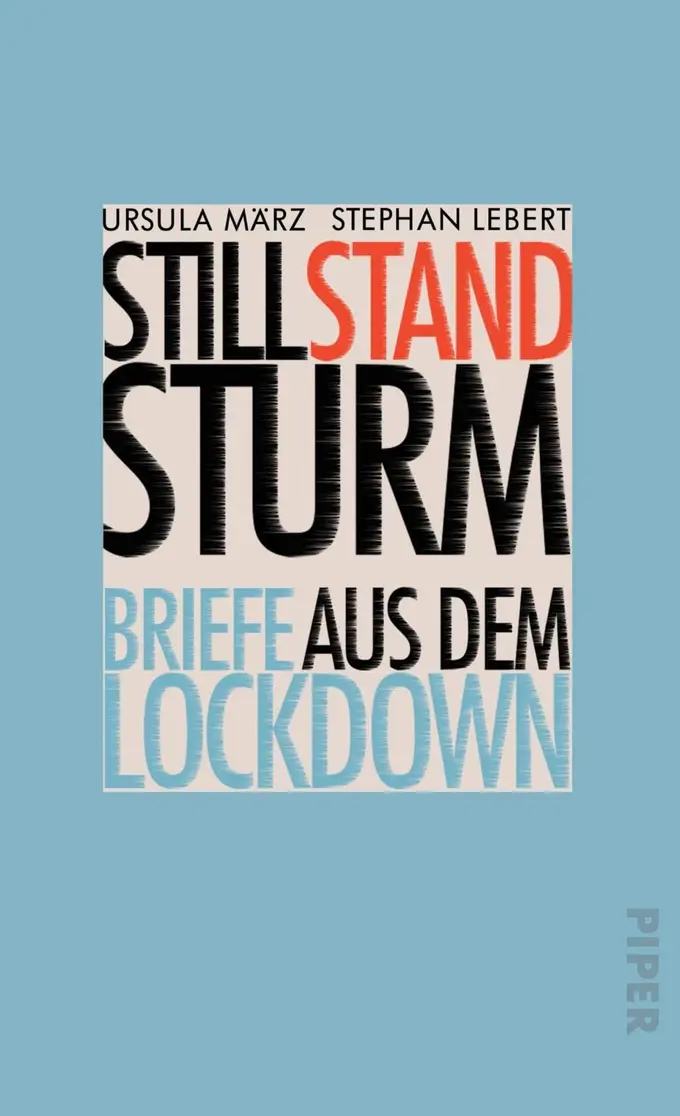 Gesellschaftsroman Bild 1