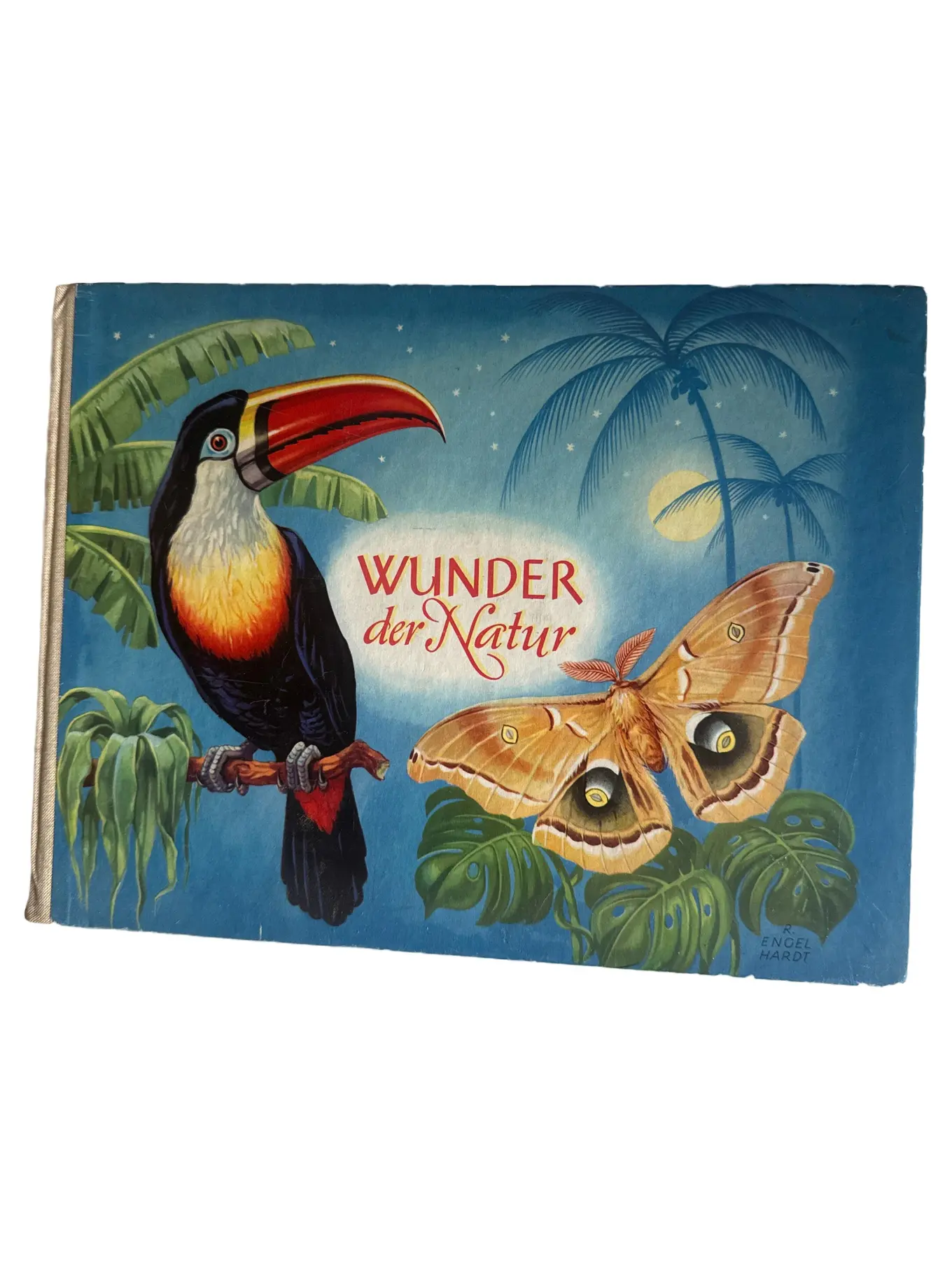 Wunder der Natur Bildband Hardcover Buch von Engelhardt Deutsch