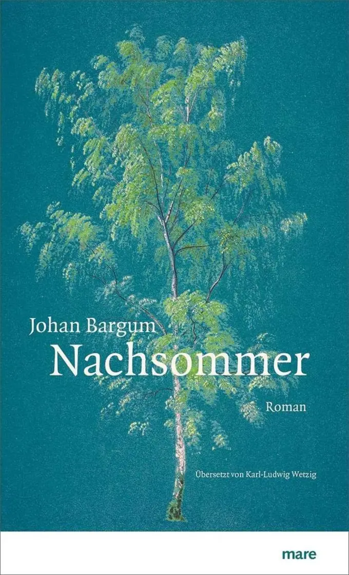 Gesellschaftsroman Bild 1