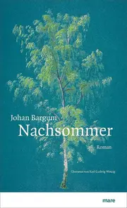 Vorschaubild Gesellschaftsroman 1