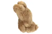Vorschaubild 2 von Baby Kuscheltier Bär Braun 19cm Plüschtier Stofftier