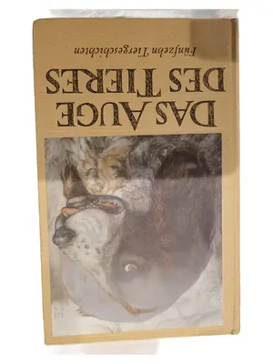 Buch für Jugendliche