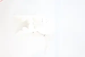 UNBEKANNT Lichterkette