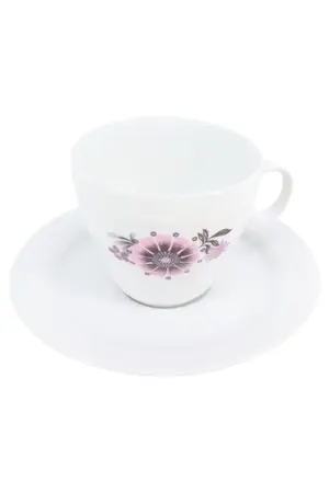 ESCHENBACH BAVARIA Tasse und Unterteller