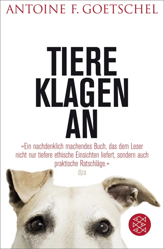 Allgemeines Sachbuch Bild 1
