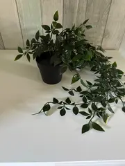 Vorschaubild 2 von Künstliche Pflanze Grün Florales Muster 35cm Hängend Deko