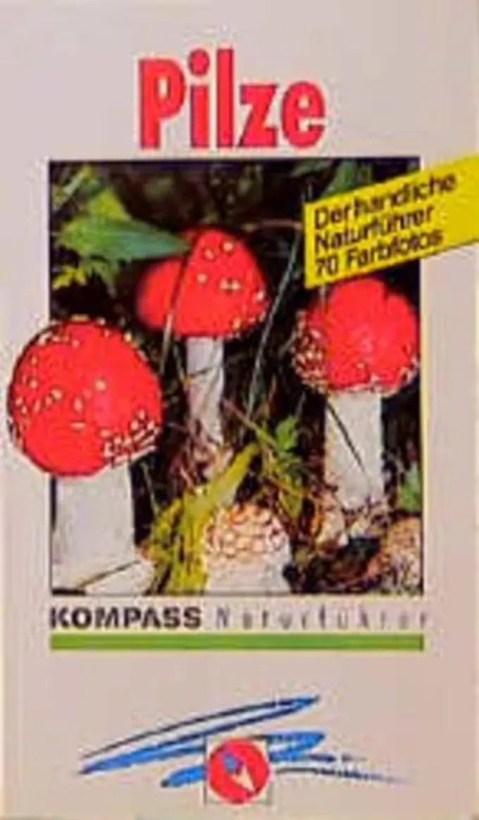 Allgemeines Sachbuch Bild 1
