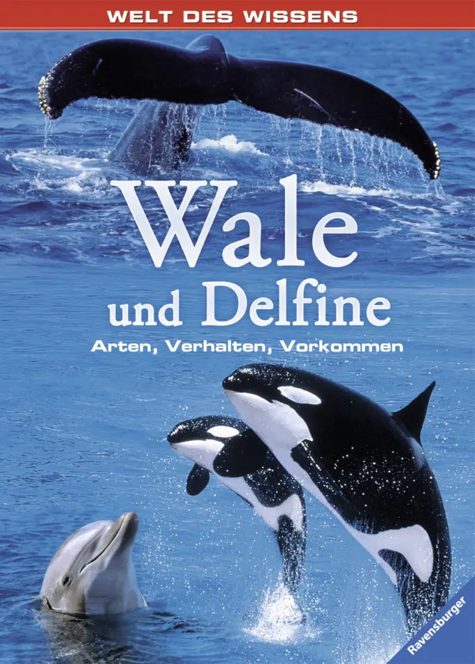 Sachbuch für Kinder Bild 1