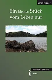 Vorschaubild Gesellschaftsroman 1