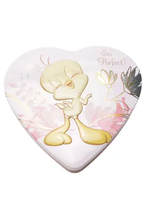 LOONEY TUNES Taschenspiegel