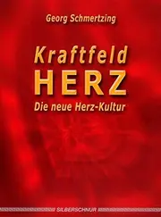 Vorschaubild 1 von Georg Schmertzing Kraftfeld Herz Spiritualität Esoterik Hardcover Silberschnur