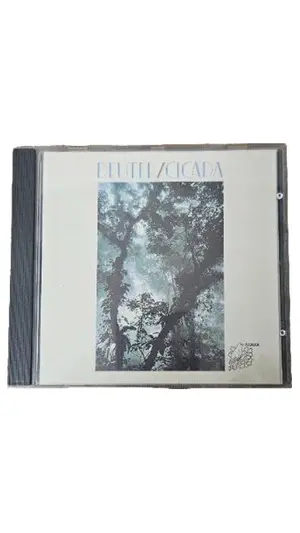 Indie und Alternative Musik