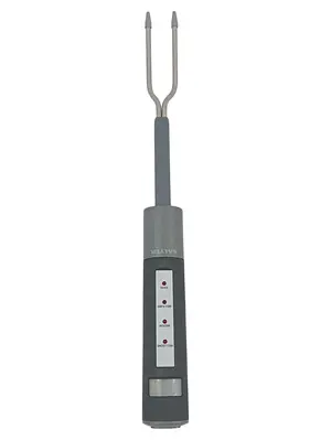 SALTER Kochthermometer