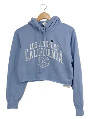 HOLLISTER Kapuzenpullover