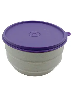 TUPPERWARE Behälter