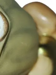 Vorschaubild 4 von Engel Keramik Dekofigur Klassisch Beige Metallic 6cm