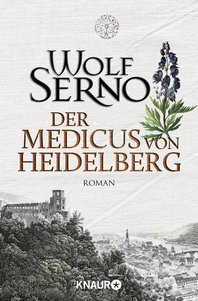 Historischer Roman Bild 1