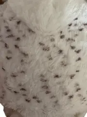 Vorschaubild 3 von Kuscheltier Schneeeule Plüschtier weiß Charmant 25cm