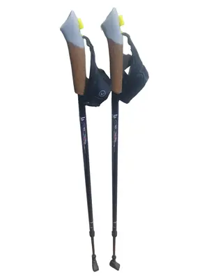 CENTOR Walking Stöcke