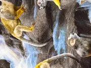 Vorschaubild 4 von Kinder Freizeitkleid Gr. 140 Mehrfarbig Tiermotive Raffungen Baumwolle