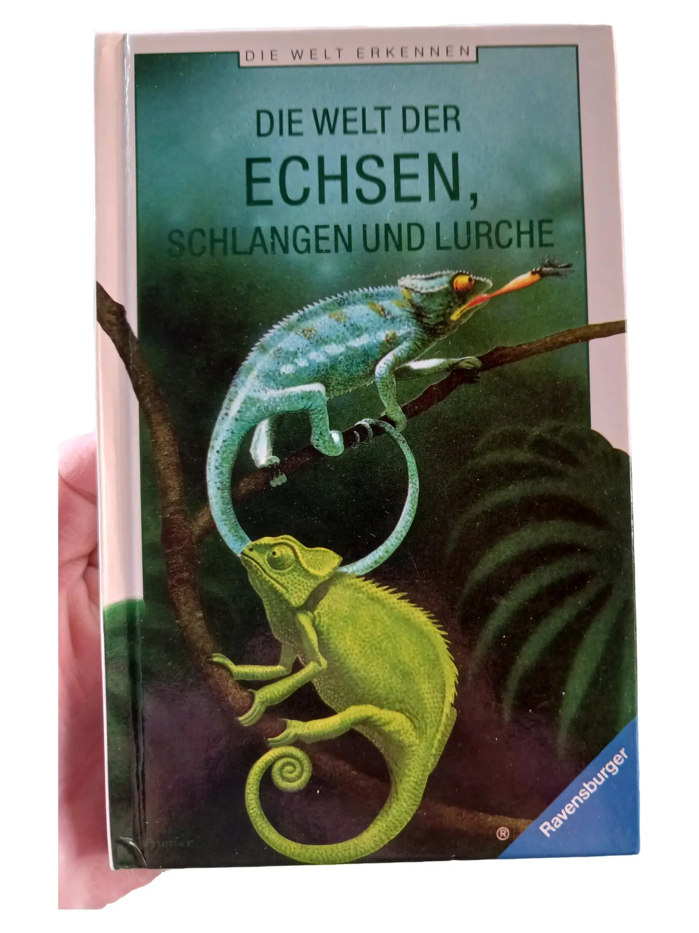 Ravensburger Fachbuch Biologie: Echsen Schlangen Lurche Reptilien Amphibien