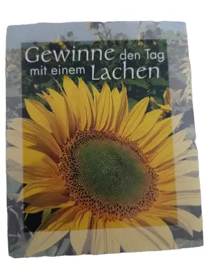 Allgemeines Sachbuch