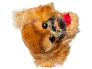 Vorschaubild 1 von Peky Hund Kuscheltier Plüschtier Braun 14cm