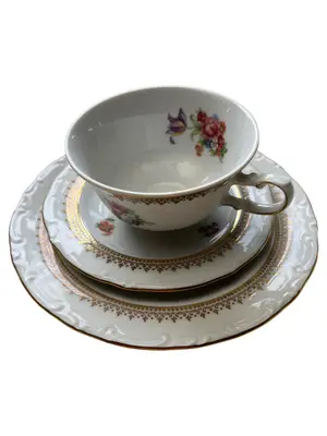 VOHENSTRAUSS JOHANN SELTMANN Tasse und Unterteller