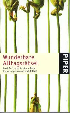 PIPER Rätselspiel