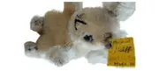 Vorschaubild 2 von Teddybär Baby Kuscheltier Uni Beige 10cm