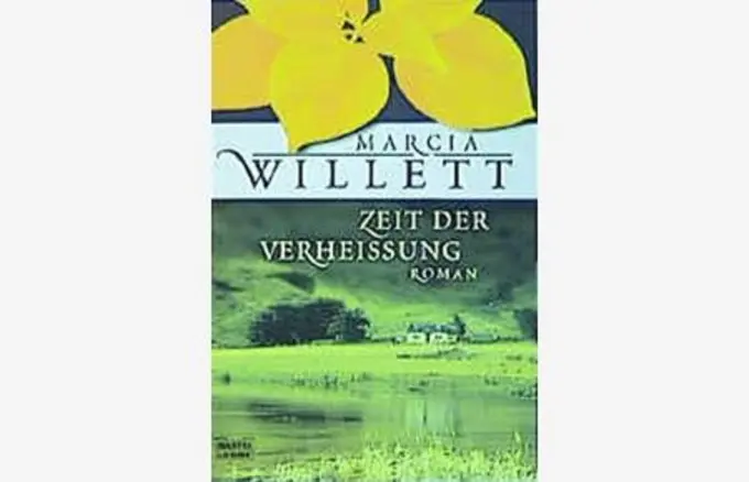 Gesellschaftsroman Bild 1