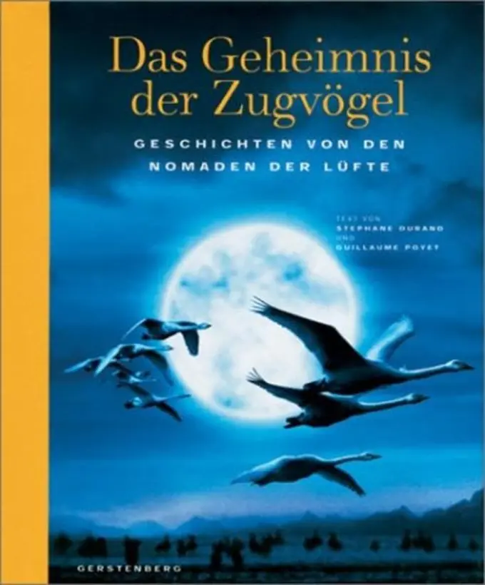 Allgemeines Sachbuch Bild 1