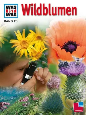 Sachbuch für Kinder