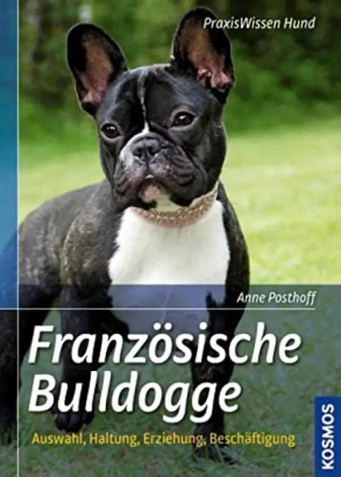 Allgemeines Sachbuch Bild 1