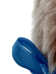 Vorschaubild 2 von Teddybär Plüschtier Knopf im Ohr 17cm Wolle Baumwolle Klassisch