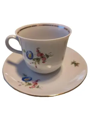 HENNEBERG PORZELLAN Tasse und Unterteller
