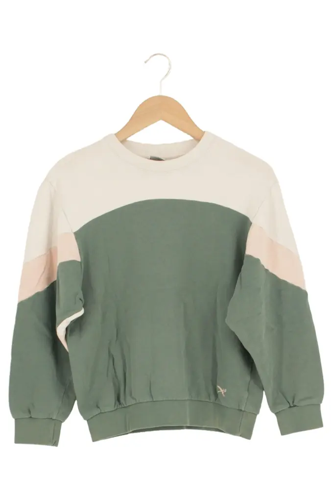 IRIEDAILY Sweatshirt Bild 1
