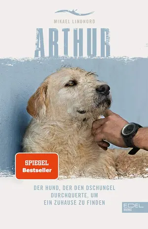 Allgemeines Sachbuch