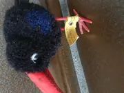 Vorschaubild 2 von Kuscheltier Vogel Plüschtier Mehrfarbig Klassisch Höhe 6 cm