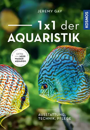 Hobbybuch