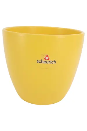 SCHEURICH Übertopf