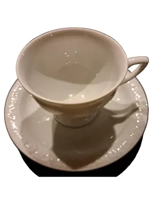 ROSENTHAL Tasse und Unterteller