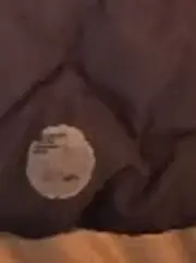 Vorschaubild 8 von Winterjacke Kinder Gr. 116 Steppjacke Kapuze Blau