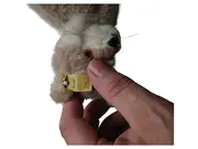 Vorschaubild 2 von Fuchs Kuscheltier Plüschtier Braun 16cm Klassisch