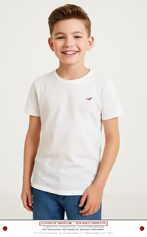 HOLLISTER T-Shirt