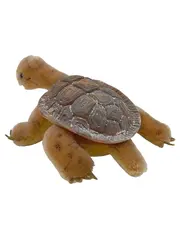 Vorschaubild 2 von Kuscheltier Schildkröte Slo Braun Plüschtier 14cm