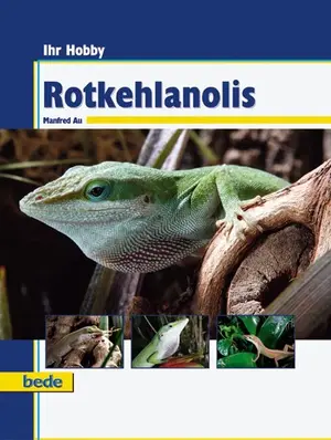 Hobbybuch