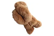 Vorschaubild 2 von Baby Kuscheltier Bär Braun 20 cm Plüschtier Stofftier
