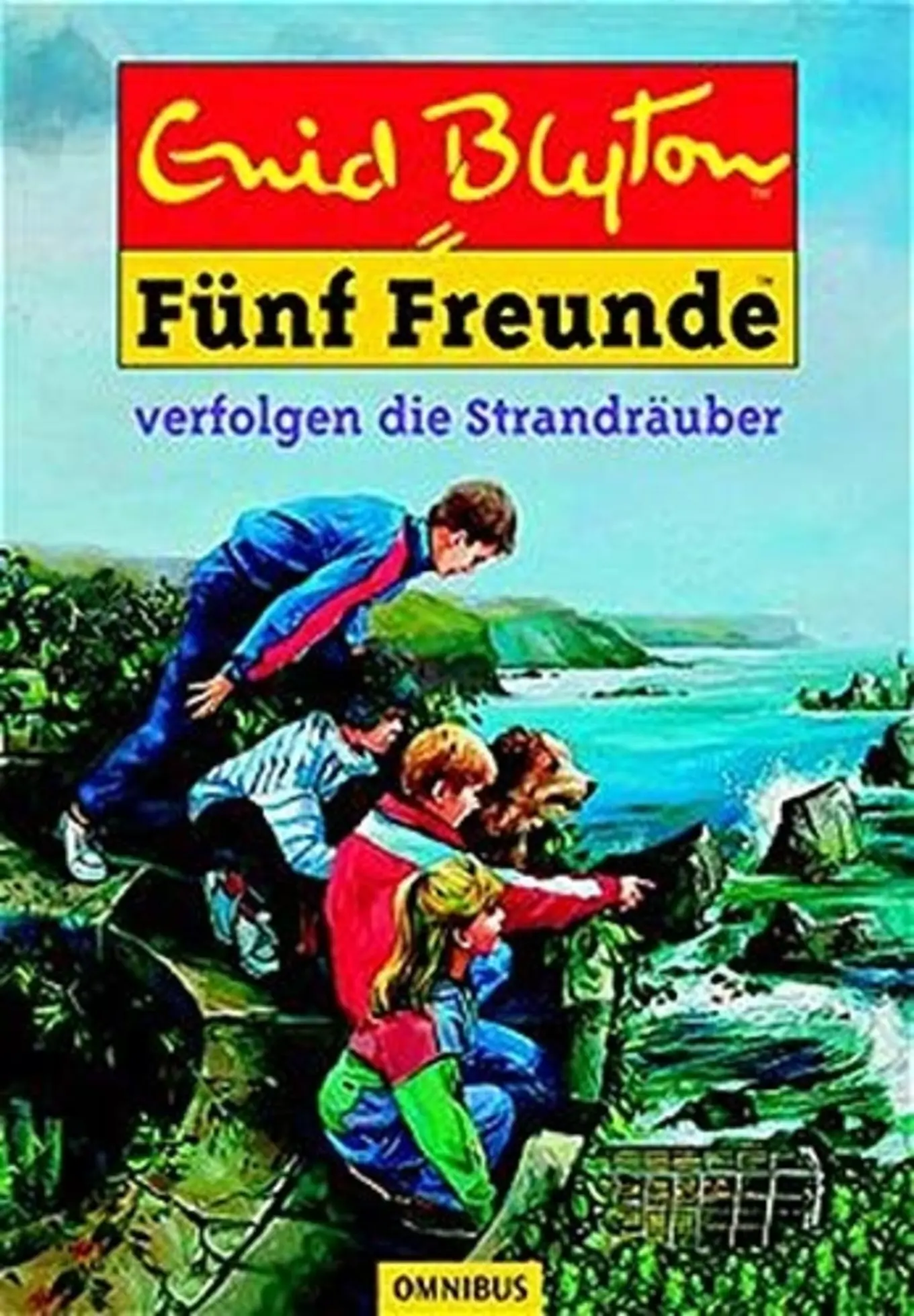 Fünf Freunde Enid Blyton Taschenbuch Strandräuber Detektiv Kinderbuch Deutsch